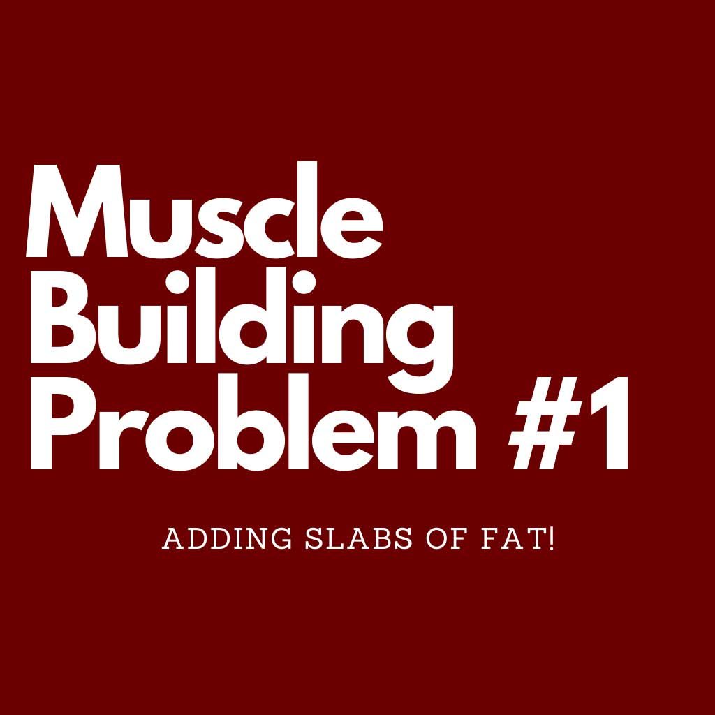 Principles of muscle building best sale program design